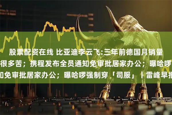 股票配资在线 比亚迪李云飞:三年前德国月销量只有不到100台,吃了很多苦;携程发布全员通知免审批居家办公;曝哈啰强制穿「司服」丨雷峰早报